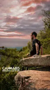 Cannabis License Application in Virginia