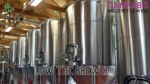 Minnesota Low THC Brewery License